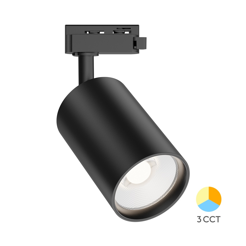 Spot LED pe Sina 30W, Braytron, 2960lm, Lumina Calda/Neutra/Rece, Negru