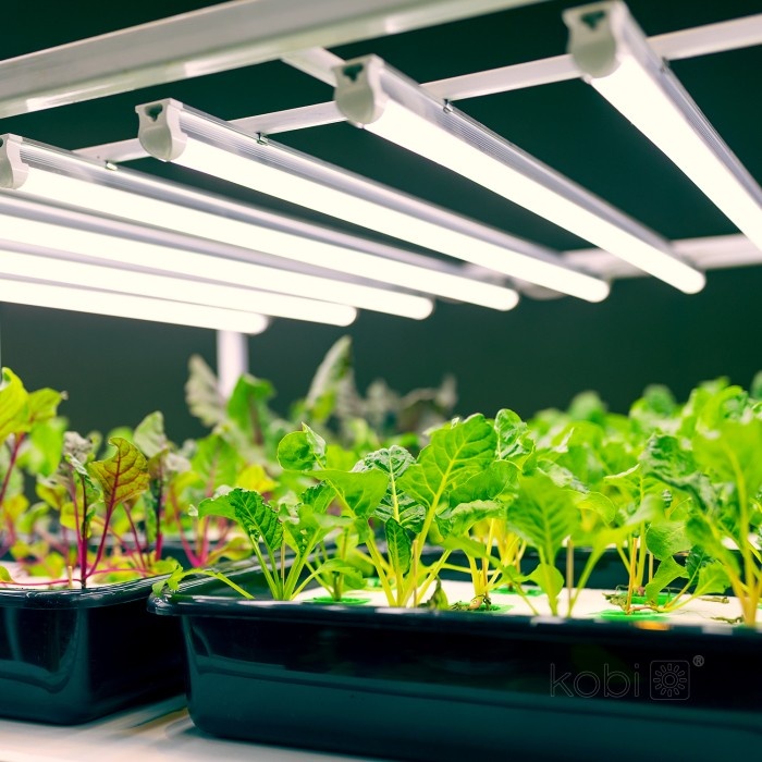 Lampa LED pentru cresterea plantelor GROWLY, 9W, Kobi Design - 1 | YEO