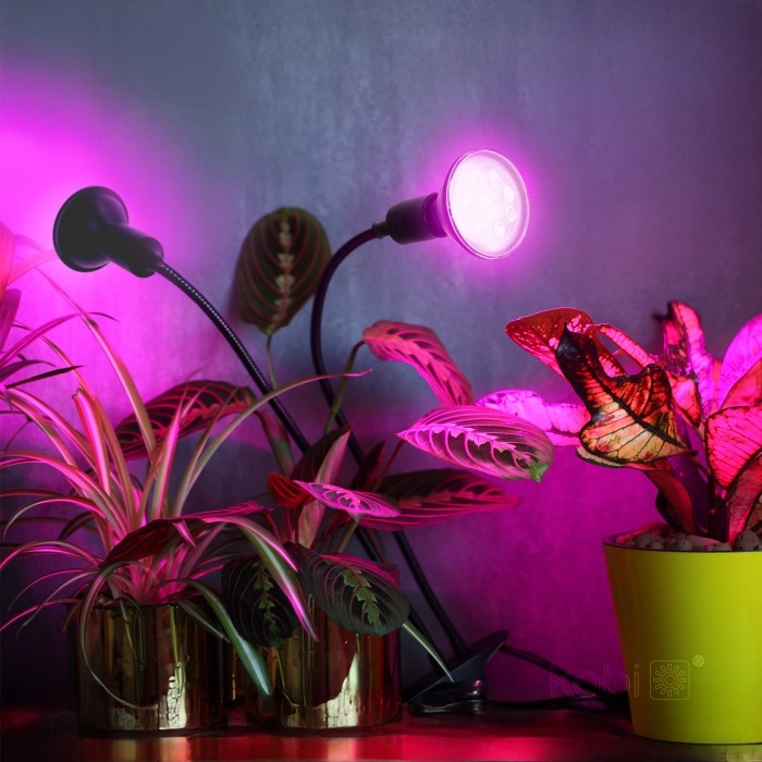 Lampa pentru plante KOBI PLANTY, 2xE27, neagra, Kobi Design - 2 | YEO