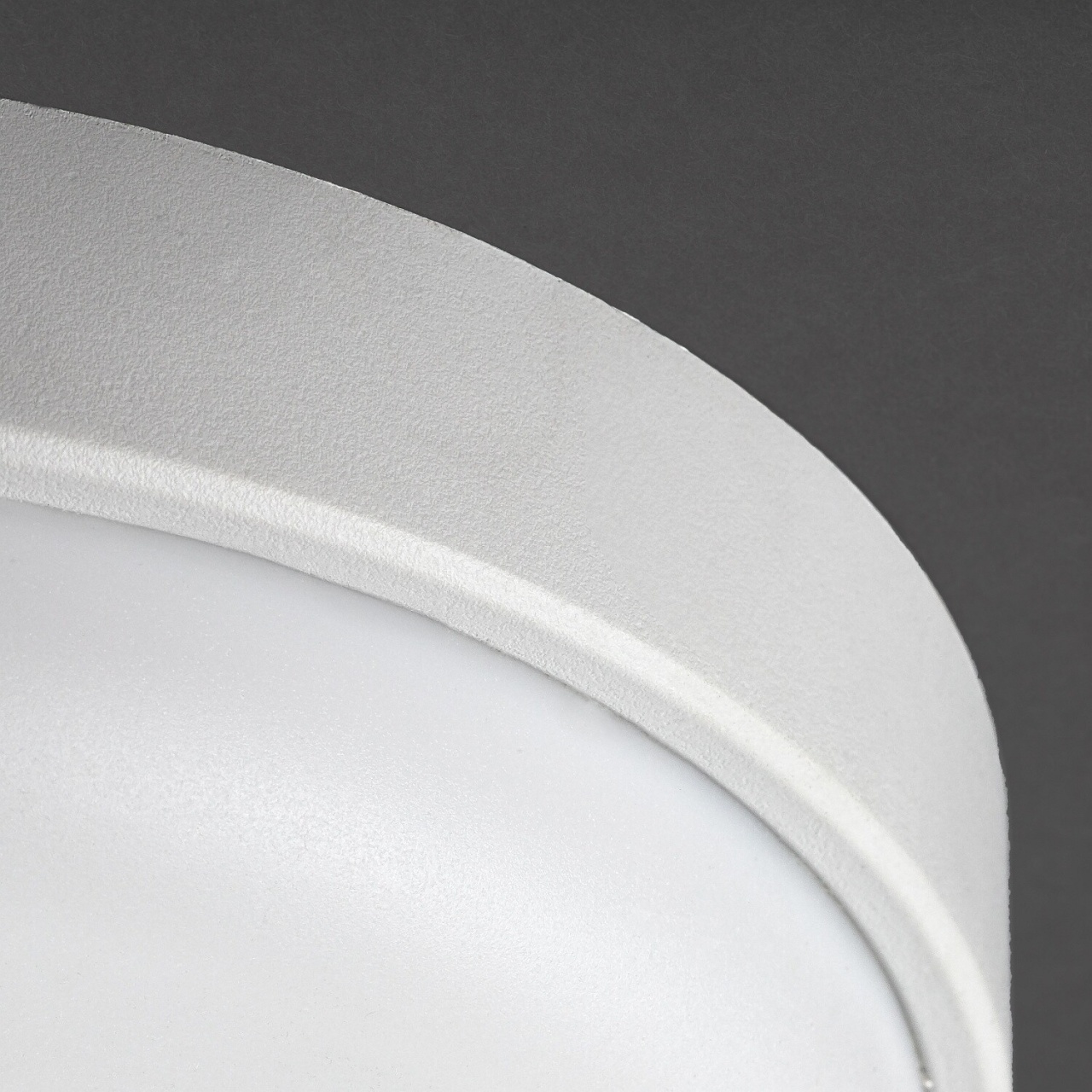 Plafoniera LED exterior rotunda Hort2, 14W, 1250 lm, lumina neutra (4000 K), IP54, alba, Rabalux - Imagine 5