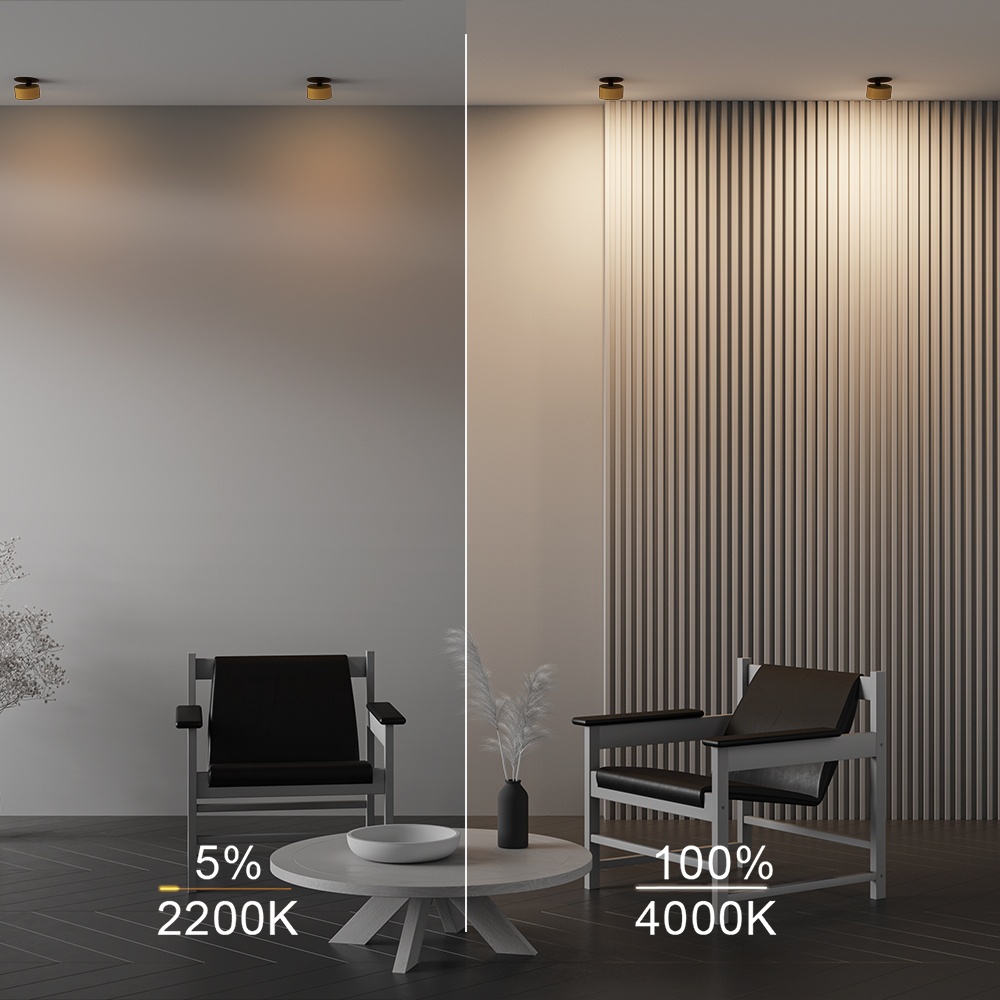 Spot incastrat Onda, 12W, lumina calda/neutra, dimabil, alama, Maytoni - imagine 9