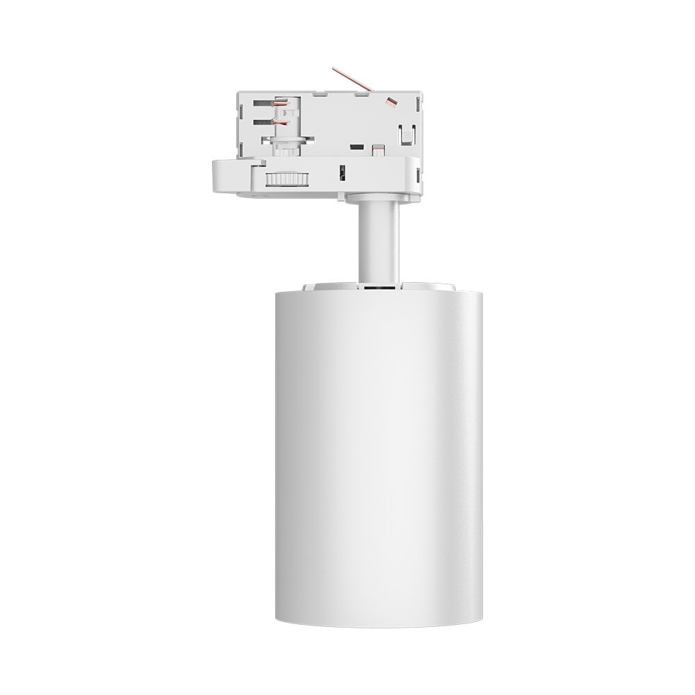 Spot LED pe sina 30W, lumina calda/neutra/rece, 3420lm, alb-negru, Braytron - imagine 4