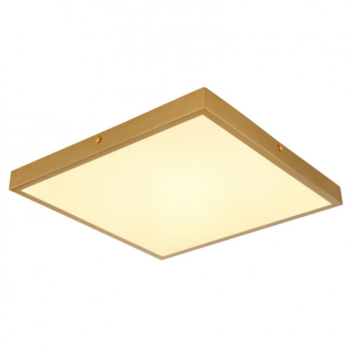 Plafoniera LED Tibey 12382-22, 22W, lumina calda(3000 K), 1750 lm, alb+auriu, IP20