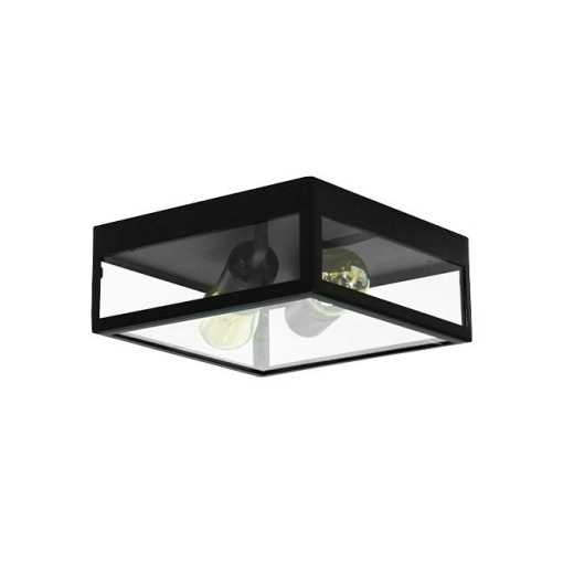 Plafoniera pentru exterior Lidio, 2xE27, negru+transparent, Masterled