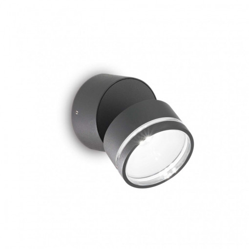Spot de exterior LED OMEGA AP rotund, sticla, antracit, 7W, 650 lm, lumina neutra (4000K), 285467, Ideal Lux