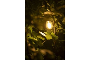 Bec Vintage LED 0.5W(6W), dulie E27, lumina calda(2700 K), 50 lm, GTV [2]- savelectro.ro