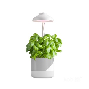Lampi pentru cresterea plantelor, Lampa LED pentru cresterea plantelor VERDI 5W 3200K – Iluminare interior, USB - savelectro.ro