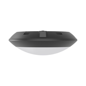 Plafoniera exterior Napoli E27, IP65, IK06, gri inchis, Braytron [4]- savelectro.ro