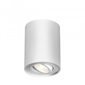 Spot Gama BH04-00200, orientabil, 1xGU10, alb, IP20, Braytron [1]- savelectro.ro