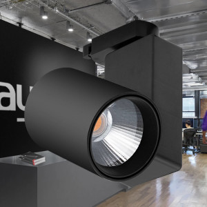 Spot LED pe Sina 30W, Braytron, 2600lm, Lumina Neutra (4000K), Negru [2]- savelectro.ro