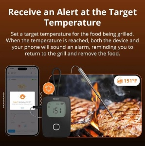 SONOFF BBQ Termometru smart pentru carne BMT01 [9]- savelectro.ro