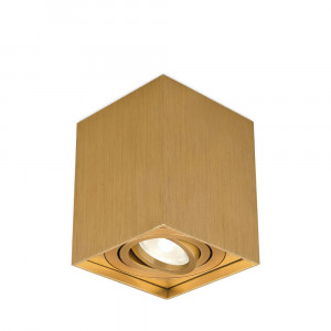 Spot Gama BH04-00316, patrat, 1xGU10, auriu, IP20, Braytron [1]- savelectro.ro