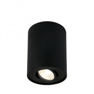Spot Gama orientabil, 1 bec, dulie GU10, negru, Braytron [1]- savelectro.ro