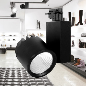 Spot LED pe Sina 30W, Braytron, 2600lm, Lumina Neutra (4000K), Negru [2]- savelectro.ro