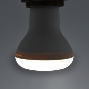 Bec led R63 9W (60W) Braytron, E27, 780lm, lumina rece (6500K), clasa energetica F