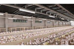 Corp de iluminat LED industrial FARM 50W, etanș și rezistent la coroziune, ideal pentru ferme, hale și depozite – IP65, 7500 lm, 4000K, 150 cm [4]- savelectro.ro