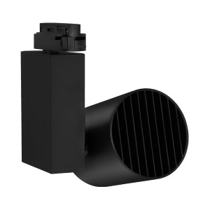 Spot LED pe Sina 30W, Braytron, 2660lm, Lumina Calda (3000K), Negru [3]- savelectro.ro