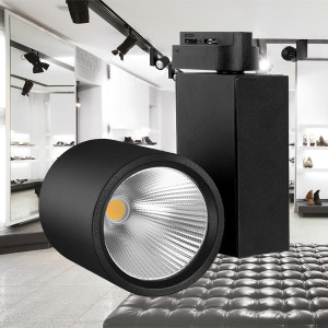 Spot LED pe Sina 30W, Braytron, 2660lm, Lumina Neutra (4000K), Negru [2]- savelectro.ro