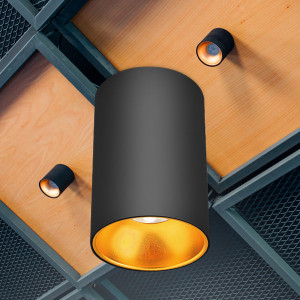 Spot Beta BH04-00101, 1xGU10, auriu+negru, IP20, Braytron [2]- savelectro.ro
