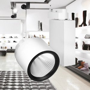 Spot LED pe Sina 30W, Braytron, 2600lm, Lumina Rece (5000K), Alb [2]- savelectro.ro