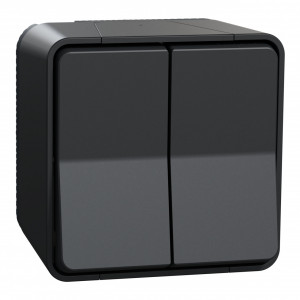 Intrerupator dublu cap scara Schneider Mureva, antracit, 10A, IP55 [1]- savelectro.ro