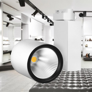 Spot LED pe Sina 30W, Braytron, 2660lm, Lumina Rece (6500K), Alb [2]- savelectro.ro