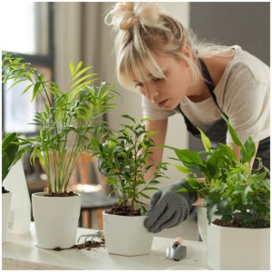Lampa LED pentru cresterea plantelor VERDI V2 5W 1300K – Reglabila, dimabila, USB, alb [4]- savelectro.ro