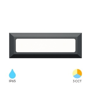 Aplice LED, Aplica LED exterior 3W, 180lm, lumina calda/neutra/rece, IP65, gri inchis, Braytron - savelectro.ro