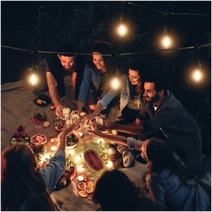 Ghirlanda luminoasa Mimosa, 10 becuri 1W incluse, 10 metri, dulie E27, protectie IP44 [6]- savelectro.ro