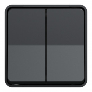 Intrerupator dublu cap scara Schneider Mureva, antracit, 10A, IP55 [4]- savelectro.ro