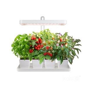 Lampi pentru cresterea plantelor, Lampa LED pentru cresterea plantelor BLOOM 20W 3500K – reglabila, cu timer si dimmer - savelectro.ro