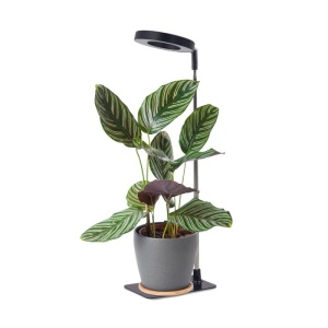 Lampi pentru cresterea plantelor, Lampa LED pentru cresterea plantelor VERDI V2 5W 1300K – Reglabila, dimabila, USB, negru - savelectro.ro