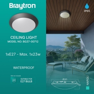 Plafoniera exterior Napoli E27, IP65, IK06, gri inchis, Braytron [3]- savelectro.ro