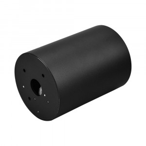 Spot Beta, 1 bec, dulie GU10,auriu, negru, Braytron [5]- savelectro.ro