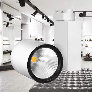 Spot LED pe Sina 30W, Braytron, 2660lm, Lumina Calda (3000K), Alb [2]- savelectro.ro