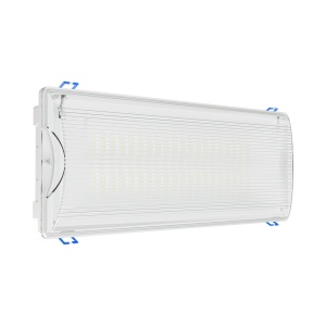 Lampi Exit, Lampa emergenta EXIT LED 5W, 350lm, 6500K, IP65, 180 min, Braytron - savelectro.ro