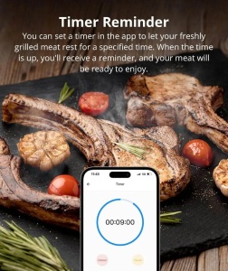 SONOFF BBQ Termometru smart pentru carne BMT01 [6]- savelectro.ro