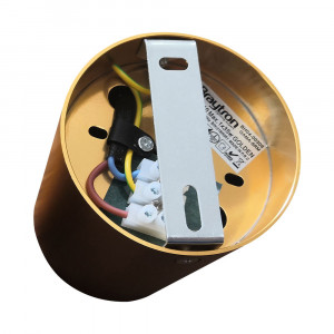 Spot Gama orientabil, 1 bec, dulie GU10, auriu, Braytron [3]- savelectro.ro