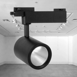 Spot LED pe Sina 30W, Braytron, 2660lm, Lumina Rece (5000K), Negru [2]- savelectro.ro