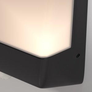 Aplica pentru exterior LED Row O448WL-L9GF3KSR, 11W, 500lm, lumina calda, IP44, grafit, Maytoni [3]- savelectro.ro