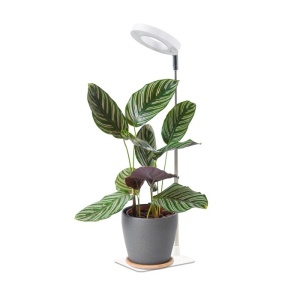 Lampa LED pentru cresterea plantelor VERDI V2 5W 1300K – Reglabila, dimabila, USB, alb