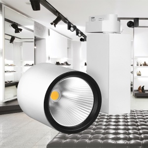 (RESIGILAT) Spot LED pe Sina 30W, Braytron, 2660lm, Lumina Rece (5000K), Alb [2]- savelectro.ro