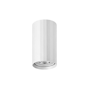 Spot aplicat Tessa, 1xGU10, Ø55mm, IP20, alb, Xudo