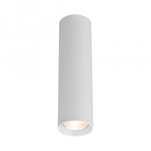 Spot Gama BH04-00560, 1xGU10, alb, IP20, Braytron [1]- savelectro.ro