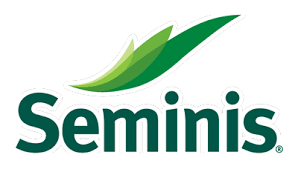 SEMINIS