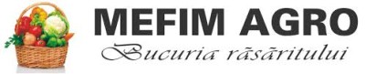 MEFIM