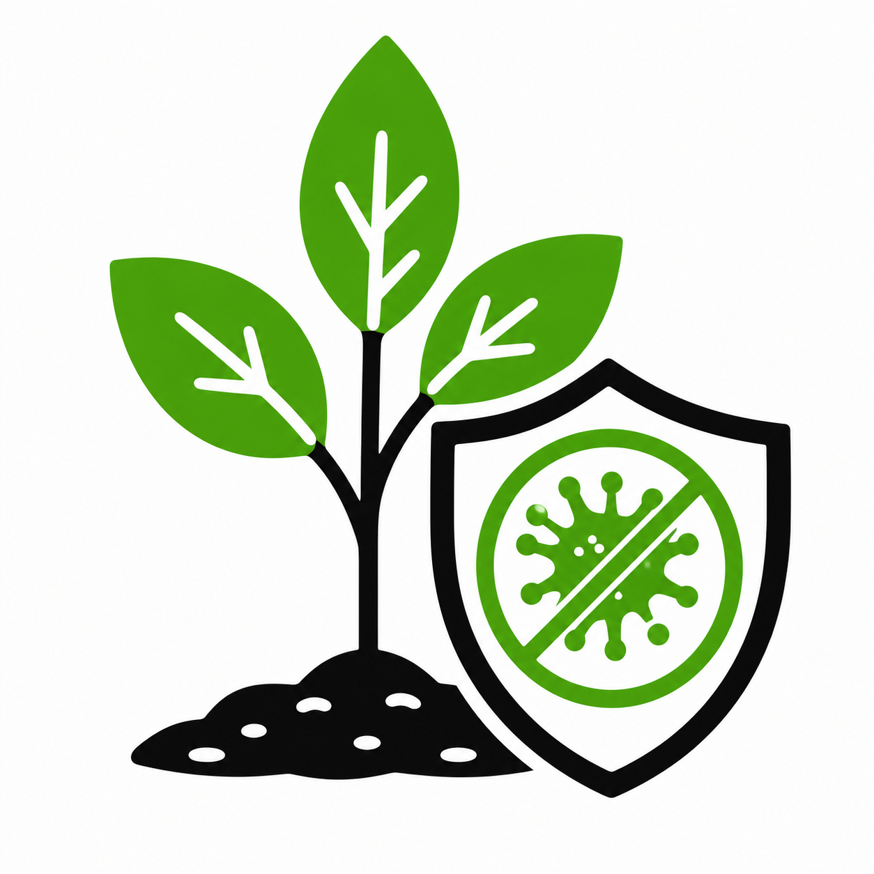 AGRICULTURA ECOLOGICA