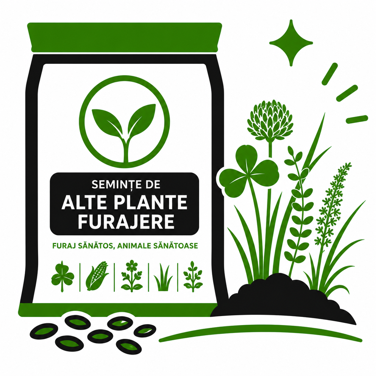 Seminte de Alte plante furajere