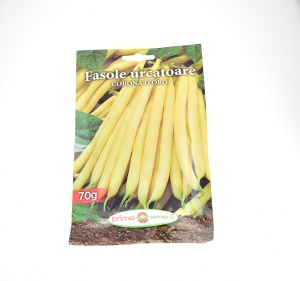 FASOLE FID. GALBENA URC. CORONA DORO - 70 G - PRIMA SEMENTI