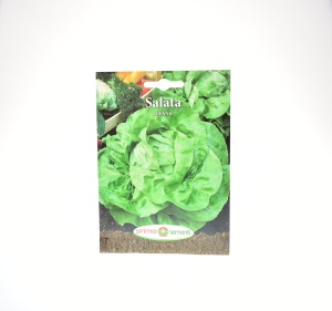 SALATA ROMANEASCA ILEANA - PRIMA SEMENTI